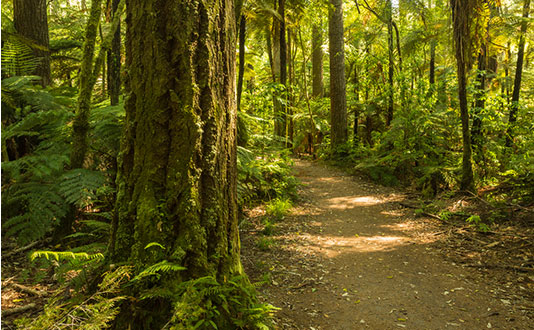 Jacks Peak Park Jacks Peak Park